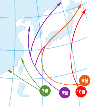 월별 태풍진로도  (Monthly typhoon tracks)